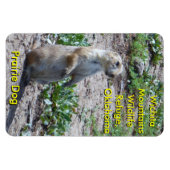 ウィチタ山野生生物保護草原ドッグ マグネット (横)