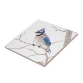 ウィチタ郡テキサス州。オカケス タイル (側面)