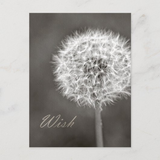 ウィッインスパイアド・ダンデヨン ポストカード (正面)