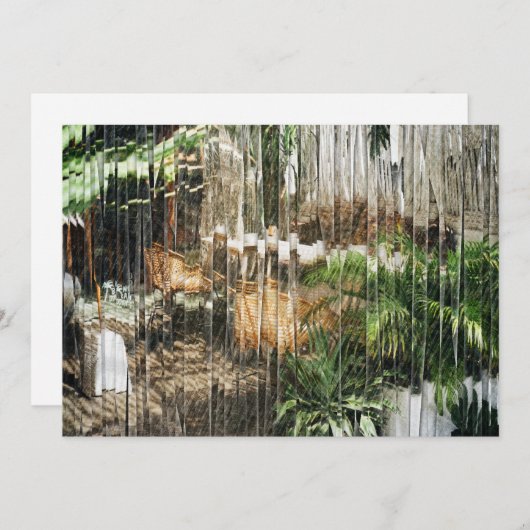 ウィッカーチェアと植物 サンキューカード (正面/裏面)