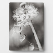 ウィッシュの送信 フォトプラーク (正面)