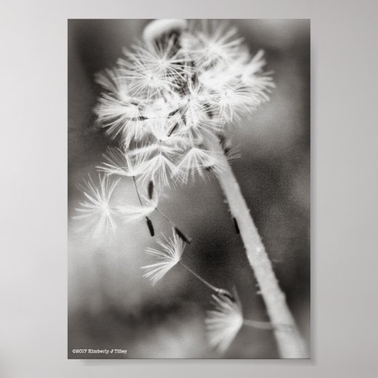 ウィッシュの送信 ポスター (正面)