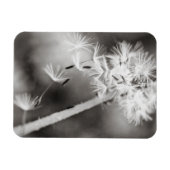 ウィッシュの送信 マグネット (横)