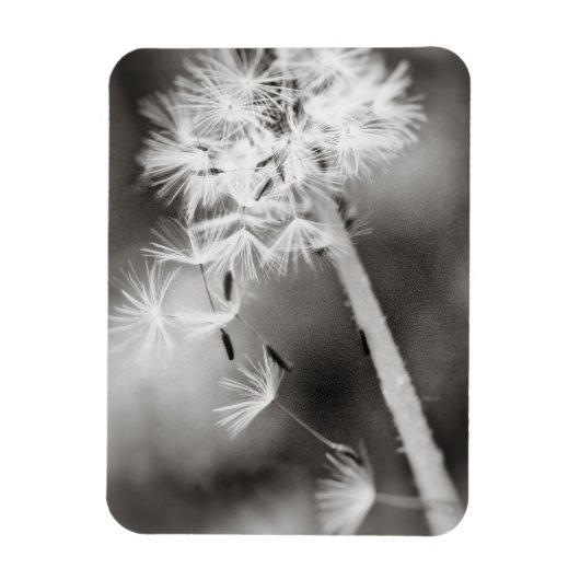 ウィッシュの送信 マグネット (縦)