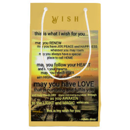 ウィッシュスモール抱き枕バイアディラアコー スモールペーパーバッグ