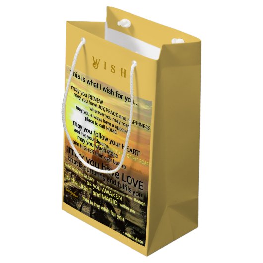 ウィッシュスモール抱き枕バイアディラアコー スモールペーパーバッグ (裏面アングル)