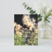 ウィッシュドリーム ポストカード (スタンド正面)