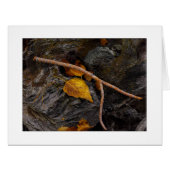 "ウィッシュポーン" (正面横)