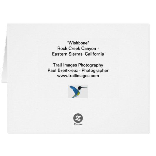 "ウィッシュポーン" (裏面横)