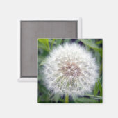 ウィッシュマグネットを作る マグネット (正面/裏面)