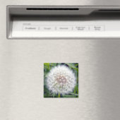 ウィッシュマグネットを作る マグネット (インサイチュ (食洗機))