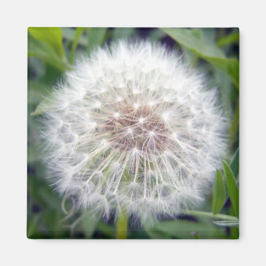 ウィッシュマグネットを作る マグネット (正面)