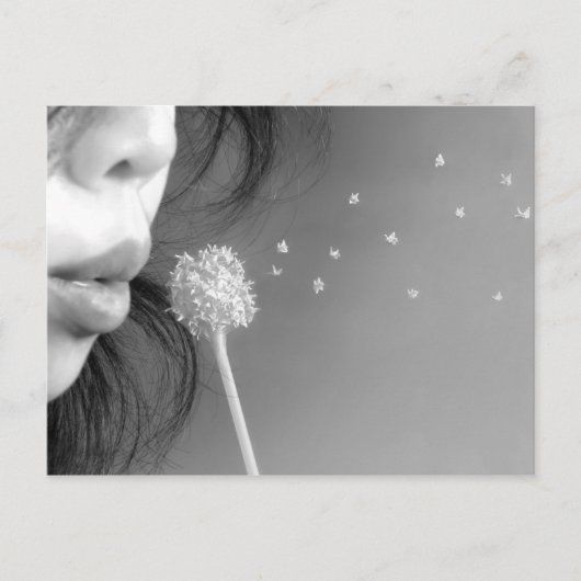 ウィッシュ ポストカード (正面)