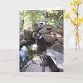 ウィッシングウェル誕生日カード カード (黄色い花)