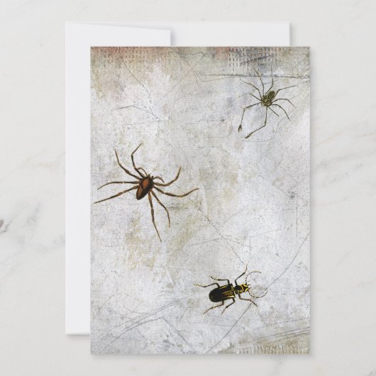 ウィッチおもしろいズレッグ邪悪なハローウィンパーティ 招待状 (裏面)