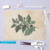 ウィッチエフエラデザインシリーズ#11 薄葉紙 (クラフト)