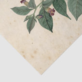 ウィッチエフエラデザインシリーズ#11 薄葉紙 (詳細)