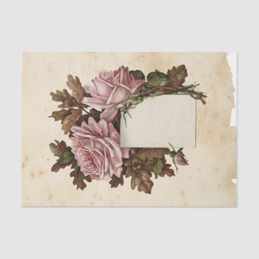 ウィッチエフエラデザインシリーズ#13 薄葉紙 (正面)