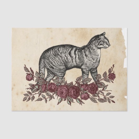 ウィッチエフエラデザインシリーズ#4 薄葉紙 (正面)