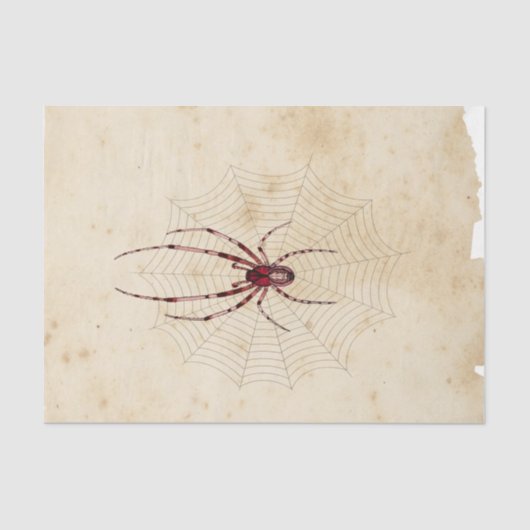 ウィッチエフエラデザインシリーズ#7 薄葉紙 (正面)