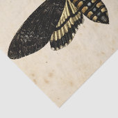 ウィッチエフエラデザインシリーズ#8 薄葉紙 (詳細)