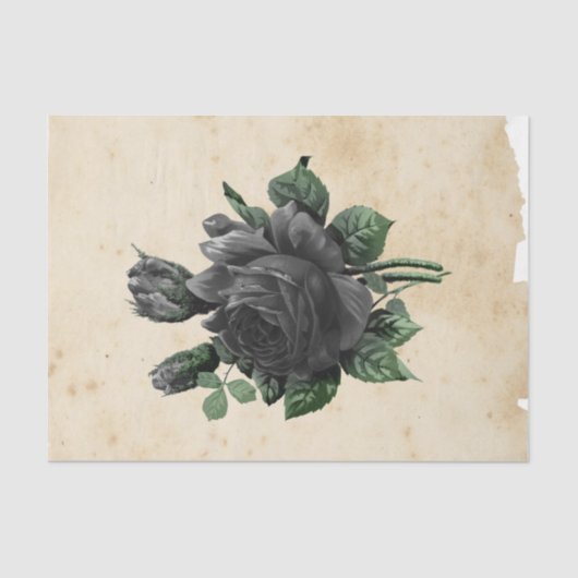 ウィッチエフエラデザインシリーズ#9 薄葉紙 (正面)