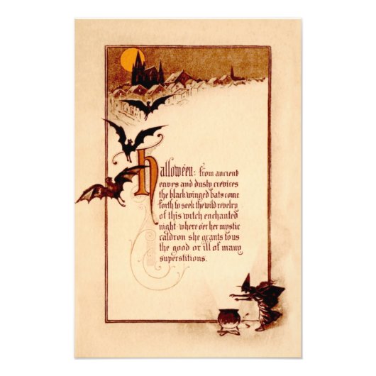 ウィッチカルドロンこうもりフルムーン フォトプリント            (正面)