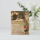 ウィッチフルムーンカボチャ黒猫 ポストカード (スタンド正面)