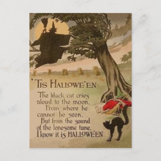 ウィッチフルムーンカボチャ黒猫 ポストカード (正面)