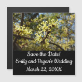 ウィッチヘイゼルフラワー (正面/裏面)