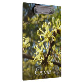 ウィッチヘイゼルフラワー クリップボード (右)