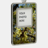 ウィッチヘイゼルフラワー シルバープレートフレームオーナメント (右)