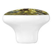 ウィッチヘイゼルフラワー セラミックノブ (側面)