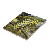 ウィッチヘイゼルフラワー タイル (側面)