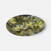 ウィッチヘイゼルフラワー ペーパープレート (アングル)