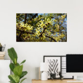 ウィッチヘイゼルフラワー ポスター (ホームオフィス)