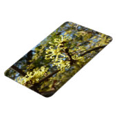 ウィッチヘイゼルフラワー マグネット (左側)