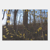 ウィッチヘイゼルフラワー ラッピングペーパーシート (正面3)