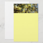 ウィッチヘイゼルフラワー 便箋 (正面/裏面)