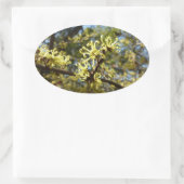 ウィッチヘイゼルフラワー 楕円形シール (バッグ)