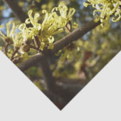 ウィッチヘイゼルフラワー 薄葉紙 (詳細)