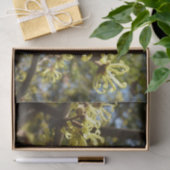 ウィッチヘイゼルフラワー 薄葉紙 (ギフト)