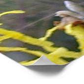 ウィッチヘイゼルブロッサムポスター ポスター (角)