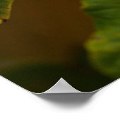 ウィッチヘイゼルポスター ポスター (角)