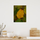 ウィッチヘイゼルポスター ポスター (キッチン)