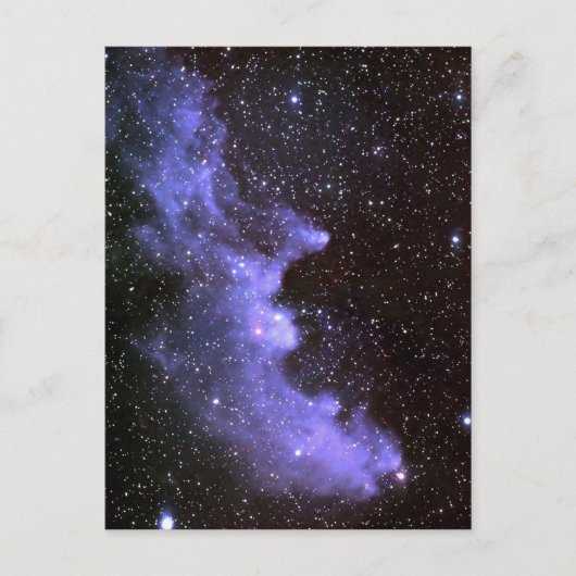 ウィッチヘッドネブラIC 2118 ポストカード (正面)