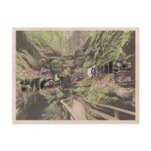 ウィッチングルチウィスコンシンヴィンテージスタイルはがき