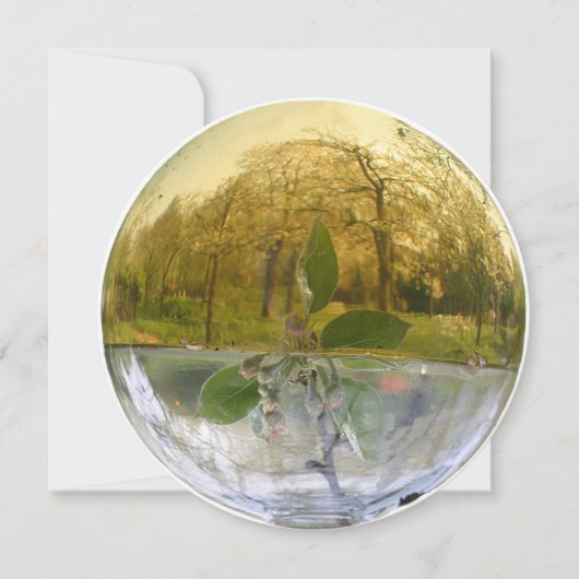 ウィッチーフラワーエッセンス露サンキューカード サンキューカード (正面)