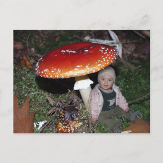 ウィッテルズヴェルウンターデムフエゲンピルツ ポストカード