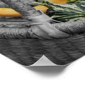 ウィッファンシーカーのバスケットの部分的な色の瓢箪 ポスター (角)